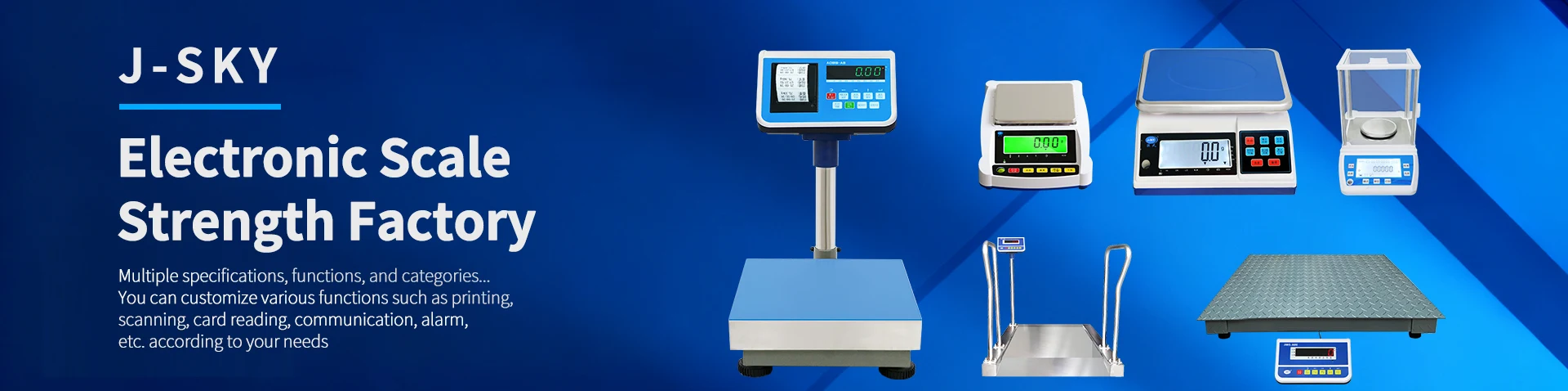 Electronic Scale